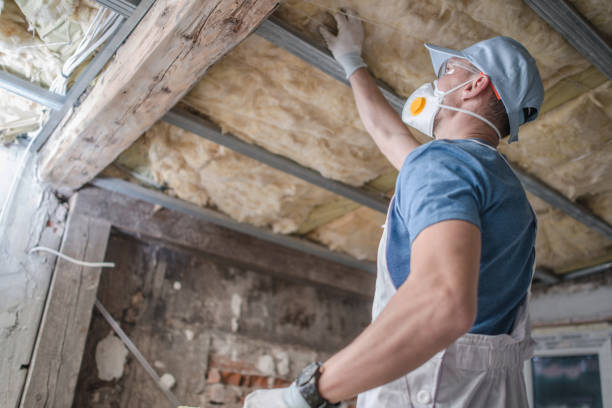 Best Insulation for Specific Applications in Espaola, NM